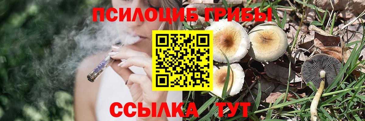 Псилоцибиновые грибы мицелий Конаково